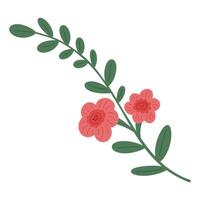 Simple hand drawn long plant branch with leaves and pink flowers in simple naive style. Floral element isolated on white background vector