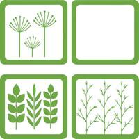 Green And White Botanical Illustrations Simple Elegant Art Design. vector
