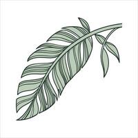 A green leaf with leaves on it vector