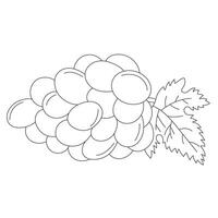 branch of grape vector