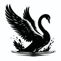 Swan with Outstretched Wings vector