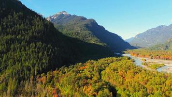 Aerial view of colourful forest on mountain slopes. Fall in Canada video