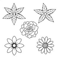 Decorative Floral Outline Set Stylish Botanical Illustrations vector