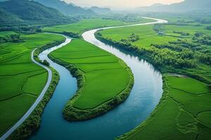 Winding river meandering through lush green rice paddies in aerial view photo