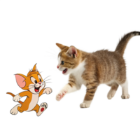 tom and jerry is running is isolated on transparent background png