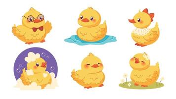 Set of cute kawaii ducklings. Yellow ducklings on white background. flat characters vector