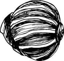 Sketch hand drawn illustration of seashell outline mollusk on summer beach vector