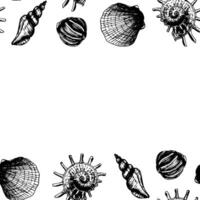 Hand drawn sea shells frame outline illustration for print design with summer vibe vector