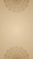 Sophisticated Subtle Mandala Vertical Animation Background with Neutral and Warm Beige Color Scheme video
