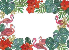 square frame adorned with pink flamingo and tropical palm leaves and flowers vector