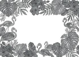 monochrome square frame adorned with pink flamingo and tropical palm leaves and flowers vector