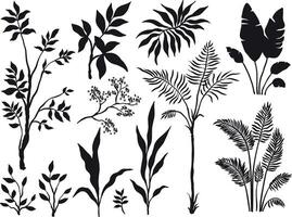 Set of silhouette palm trees and plants on white background vector