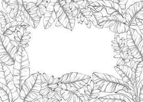 line art square frame adorned with Tropical banana palm leaves and flowers vector