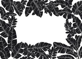 silhouette square frame adorned with Tropical banana palm leaves and flowers vector