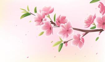 Spring horizontal illustrations design pink peach blossoms on a light background vector
