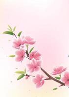 Spring vertical illustrations design pink peach blossoms on a light background vector