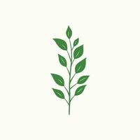 Stylish Minimal Leaf Icon vector