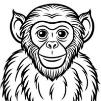 Monkey Line Drawing Monkey Face vector
