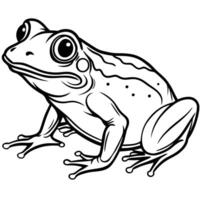 Line drawings of frogs that will make you feel like you are looking at a real frog vector