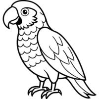 Parrots, Parrot Line Drawings vector