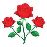 red roses with leaves on a white background vector