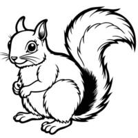 Squirrel Line Drawing Squirrel Drawing vector
