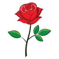 a red rose with leaves on a white background vector