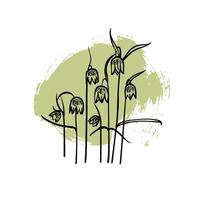 Hand drawn line art fritillaries. illustrations of spring flowers. Elegant sketchy doodles of beautiful flowers on green sketched background. Graphic assets for print and online designs. vector