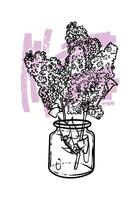 Hand drawn line art lilacs in a vase. illustration of spring flower. Elegant doodle of beautiful flower on lila sketched background. Graphic assets for print and online designs. vector