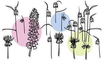 Hand drawn line art fritillaries on stems with blooms. illustrations set of spring flowers. Elegant sketchy doodles of beautiful flowers. Graphic assets for print and online designs. vector
