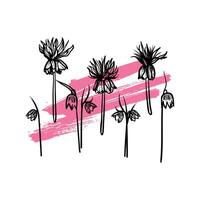 Hand drawn line art fritillaries. illustrations set of spring flowers. Elegant sketchy doodles of beautiful flowers on pink sketched background. Graphic assets for print and online designs. vector