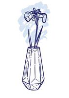 Hand drawn line art iris in a vase. illustration of spring flower. Elegant doodle of beautiful flower on light blue sketched background. Graphic assets for print and online designs. vector