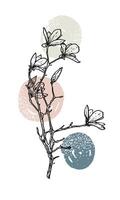 Hand drawn line art magnolias on a branch. illustration of spring flowers. Doodle of beautiful flowers on blue and beige sketched background. Graphic assets for print and online designs. vector