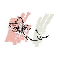Hand drawn line art magnolia. illustration of spring flowers. Elegant doodle of beautiful flowers on pastel beige and green sketched background. Graphic assets for print and online designs. vector