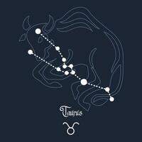 Taurus, constellation and zodiac sign on the background of the cosmic universe. Blue and white design. Illustration vector