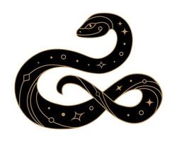 Mystical black snake with golden geometric elements vector