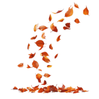 Falling Autumn Leaves with Vibrant Colors in a Whimsical Display, Creating a Magical Seasonal Atmosphere png