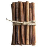 Natural Twigs and Sticks Bundled Together with Twine for Rustic Decorations and Craft Projects png