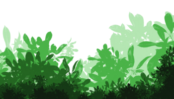 green trees and bushes on a transparent background png