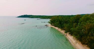 Aerial drone view of the tropical beach with clear turquoise sea, white sand and palm trees video