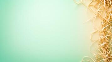 Delicate light sage green background with beige straw texture photo