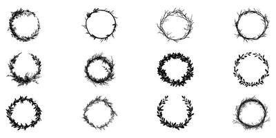 Collection of nature-inspired circular frames for botanical designs and decorative elements vector
