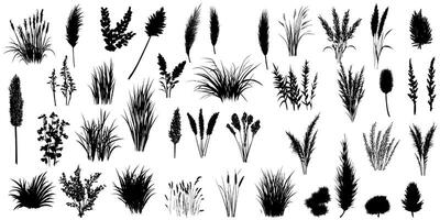 Silhouettes of Wild Grass Tufts Isolated for a Dynamic Design Element and Versatile Backgrounds vector