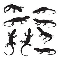 A variety of lizard silhouettes on a white background vector