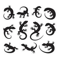 Silhouette set featuring various lizards on a white background vector