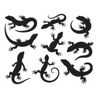 A set of lizard silhouettes on a white backdrop vector