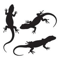 A collection of lizard silhouettes against a white background vector