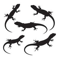 Lizard silhouette set displayed on a white background vector