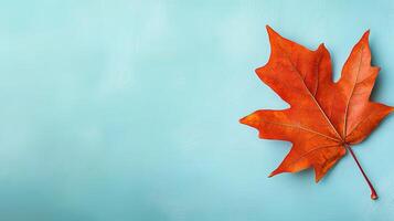 Vibrant Orange Maple Leaf on Soft Blue Background Ideal for Autumn Themes photo