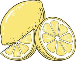 lemons, with one whole, one sliced in half, and a wedge. vector